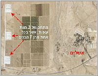 ניוקסל באשלים