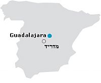 ספרד: נגיף שפעת עופות אלים בלהקת מטילות