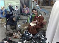 מצרים: ילדה בת שנתיים, נדבקה ב-H5N1