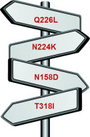 התפרסם המאמר המדעי של קבוצת החוקרים האמריקאית בנושא נגיף השפעת