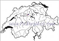 שוויץ: מקרה שפעת בברווז בר