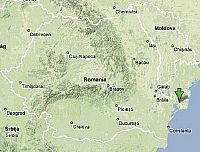 רומניה: נגיף שפעת העופות אובחן בעופות חצר