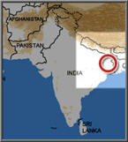 הודו: מחלת שפעת העופות אובחנה במערב בנגל