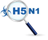 נגיף שפעת העופות H5N1, אינו קטלני כפי שמעריכים - סקירה אינטגרטיבית