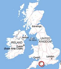 אנגליה: שפעת העופות אובחנה בברבורים