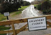 אנגליה: ברבור חמישי אובחן כחיובי לנגיף H5N1