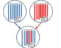 סין: נמשכים הדיווחים על אירועי H7N9 בבני אדם