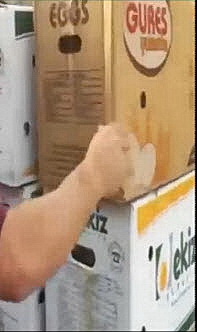 הברחה של אלפי ביצים - האמנם סיכון בריאותי ?