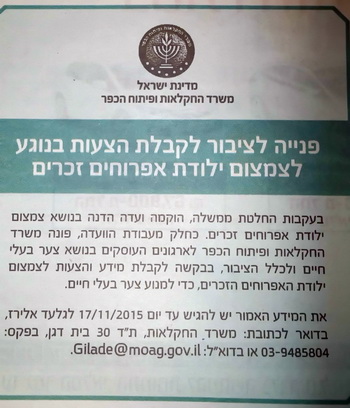 ילודה ילודה