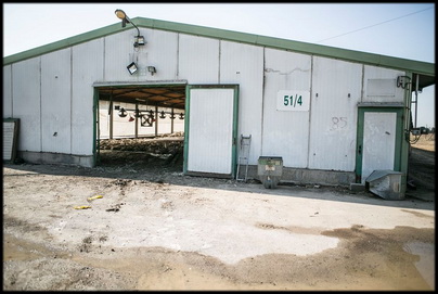 מתחם פרווץ ופתוח מתחם פרווץ ופתוח